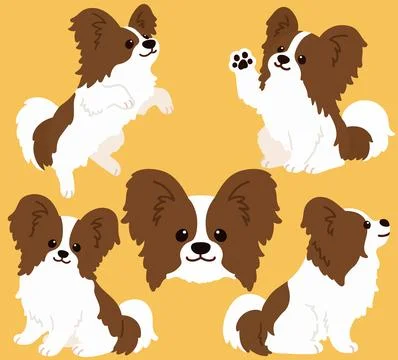 Collection of flat colored brown and white Papillon illustrations Stock Illustration