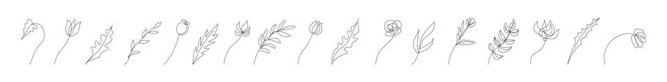 Collection of floral design elements in continuous one line drawing style Stock Illustration