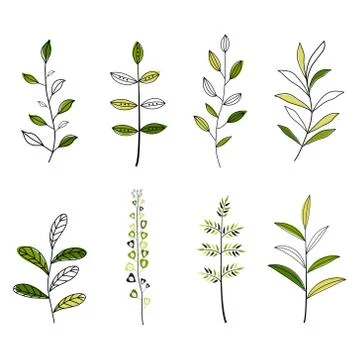 Collection of floral elements Stock Illustration