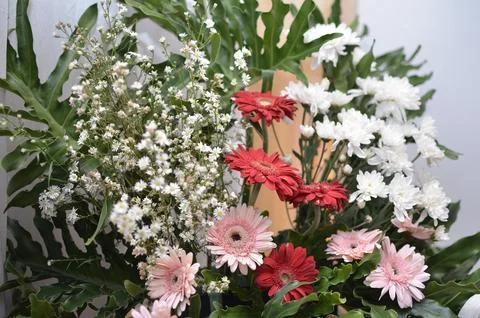 Collection of Flowers Foto stock