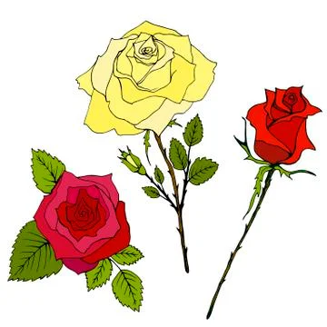 Collection of flowers of the rouse. Isolated pattern Stock Illustration