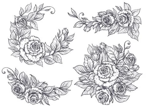 Collection of four elegant hand drawn graphic bouquets with rose flowers and Stock Illustration