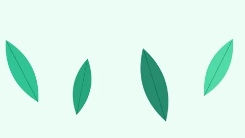 A collection of four simple green leaves arranged on a plain white background Vídeo Stock 336263287