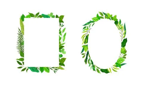 Collection of frames made of leaves. Green elegant natural borders of Stock Illustration