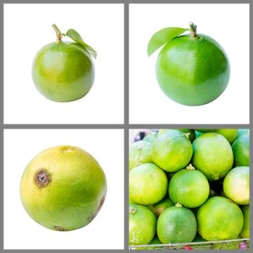 Collection of fresh lime Stock Photos