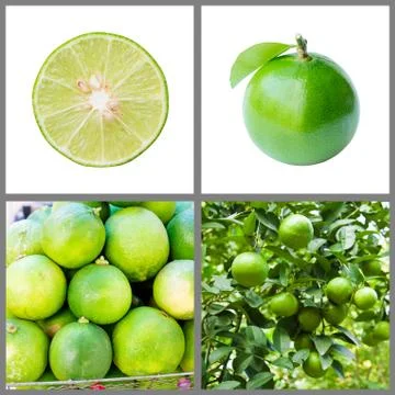 Collection of fresh lime Stock Photos