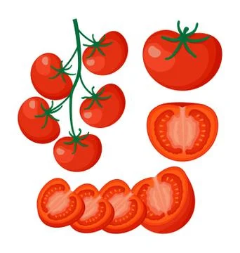 Collection of fresh red tomatoes vector illustrations. Half a tomato, a slice Stock Illustration