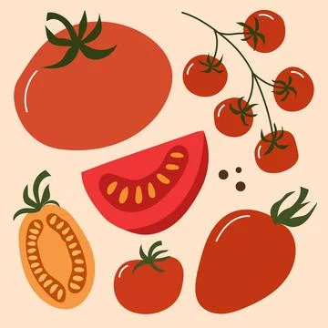 Collection of fresh tomato illustrations featuring red and yellow tomatoes, c Stock Illustration