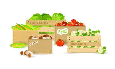 Collection of fresh vegetables in containers Stock Illustration