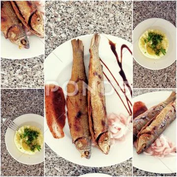 Collection of fried Fish and puree on Table Photo Collage of Toned Images Stock Photos
