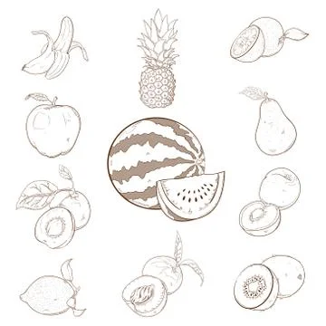 Collection of  fruins Stock Illustration