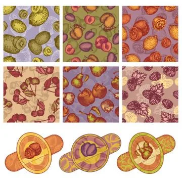 Collection of fruit design elements Stock Illustration