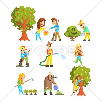 Collection of Fruit Farm Illustrations Stock Illustration