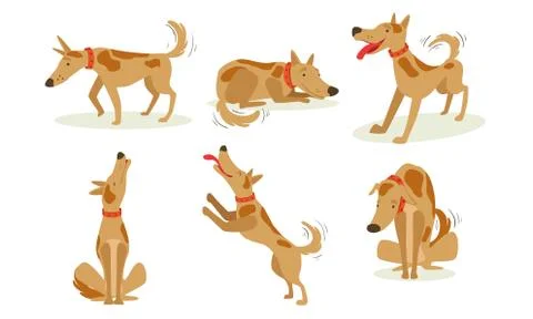 Collection of Funny Brown Dog in Different Situations Set, Cute Cheerful Animal Stock Illustration