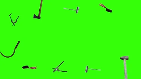 Collection of garden and cleaning tools floating , green background Stock-Footage 333500529