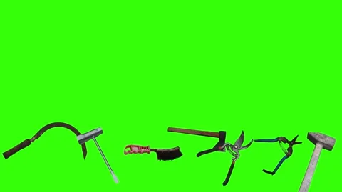 Collection of garden and cleaning tools floating , green background Stock-Footage 333500533