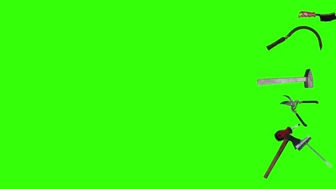 Collection of garden and cleaning tools floating , green background Stock-Footage 333500536