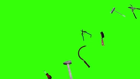 Collection of garden and cleaning tools floating , green background Stock-Footage 333500548
