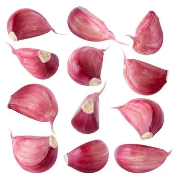 Collection of garlic segments. Different shapes of fresh garlic segment isolated Stock Photos