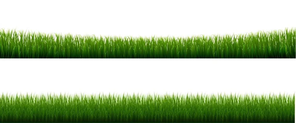 Collection Grass Border Transparent Background Stock Illustration