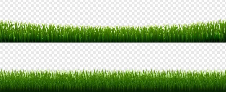 Collection Grass Border Transparent Background Stock Illustration