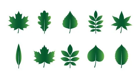 Collection of green gradient realistic leaf shapes and foliage icons. Ilustración de archivo