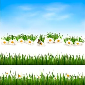 Collection of green grass backgrounds. vector illustration. Illustrazione stock