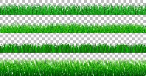 Collection Green Grass spring There are many form isolated on transparent bac Stock Illustration