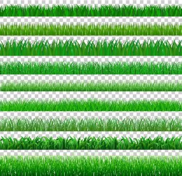 Collection Green Grass spring There are many form isolated on transparent bac Stock Illustration