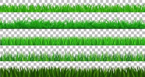 Collection Green Grass spring There are many form isolated on transparent bac Illustrazione stock