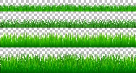 Collection Green Grass spring There are many form isolated on transparent bac Stock Illustration
