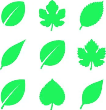 Collection of Green Leaf Silhouettes Various Shapes and Forms. Stock Illustration