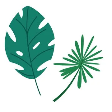 Collection of green leaves. Vector isolated elements. Stockillustratie