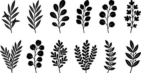 Collection of Hand-Drawn Black Botanical Branch Silhouettes. Stock Illustration