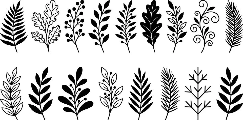 Collection of Hand-Drawn Botanical Elements and Leaves in Black and White. Stock Illustration