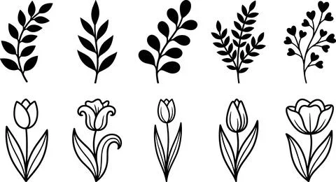 Collection of Hand-Drawn Botanical Elements and Tulips. Stock Illustration