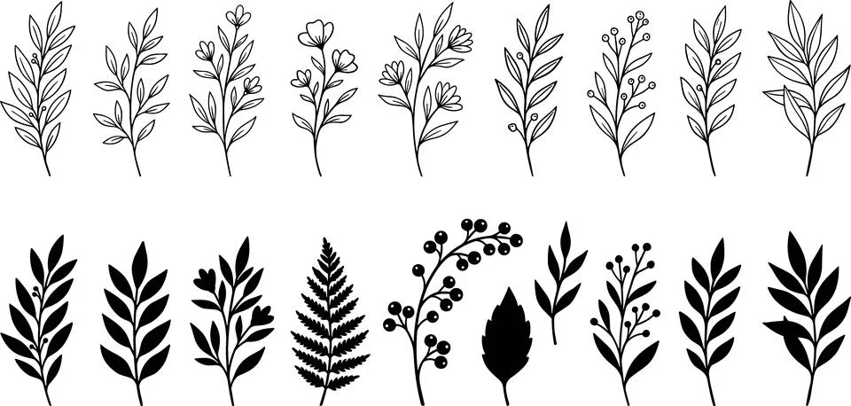 Collection of Hand-Drawn Botanical Elements and Leaves. Stock Illustration