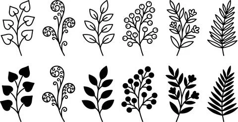 Collection of Hand-Drawn Botanical Elements and Leafy Sprigs. Ilustração Stock
