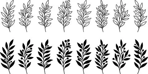 Collection of Hand-Drawn Botanical Elements with Leaves and Berries. Stock Illustration