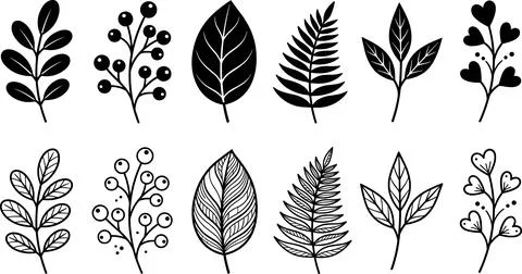Collection of Hand-Drawn Botanical Elements and Leaves. Illustrazione stock