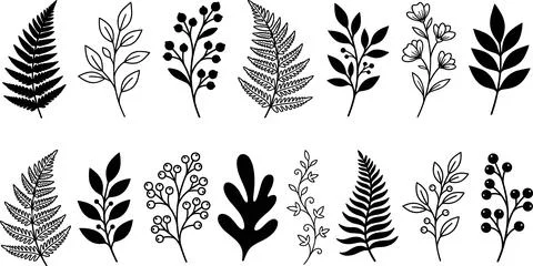 Collection of Hand-Drawn Botanical Elements and Ferns. Иллюстрация