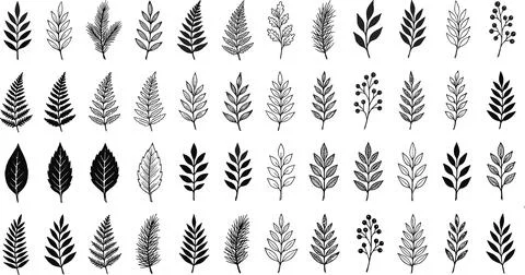 Collection of Hand-Drawn Botanical Elements and Leaves. Stockillustratie