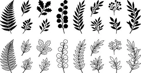 Collection of Hand-Drawn Botanical Elements and Leaves. Stockillustratie