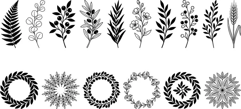 Collection of Hand-Drawn Botanical Elements and Wreaths. Stock Illustration