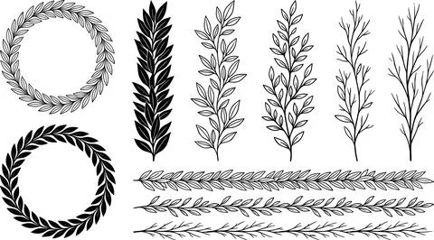 Collection of Hand-Drawn Botanical Elements and Wreaths. Illustrazione stock