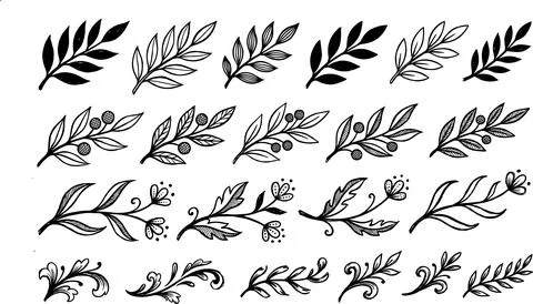 Collection of Hand-Drawn Botanical Elements and Flourishes. Stock Illustration
