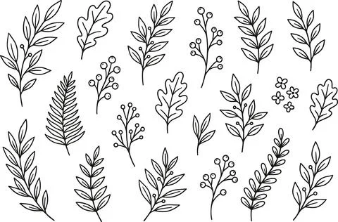 Collection of Hand-Drawn Botanical Elements and Leaves. Stock Illustration