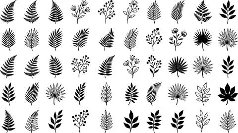 Collection of Hand-Drawn Botanical Elements and Leaves. Stock Illustration