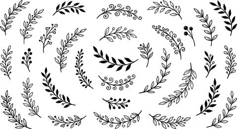 Collection of Hand-Drawn Botanical Elements and Flourishes. Illustrazione stock