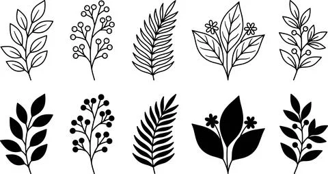 Collection of Hand-Drawn Botanical Elements and Leaves. Stock Illustration